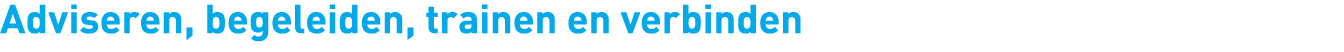 Adviseren, begeleiden, trainen en verbinden