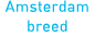 Amsterdam breed