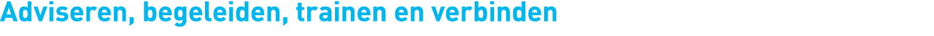 Adviseren, begeleiden, trainen en verbinden 