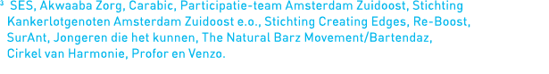 3   SES, Akwaaba Zorg, Carabic, Participatie-team Amsterdam Zuidoost, Stichting Kankerlotgenoten Amsterdam Zuidoost e   